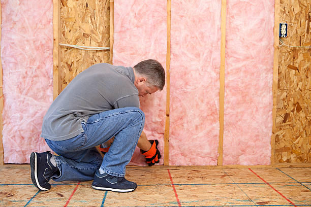 Best Commercial Insulation in Stonewall, LA